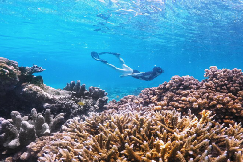 Hurghada Tours: 7 Amazing Experiences – Your Ultimate Red Sea Adventure